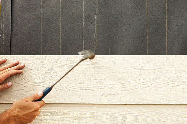 Best Custom Siding Design  in Burns Flat, OK